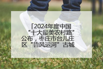 2024年度中国“十大最美农村路”公布，枣庄市台儿庄区“鲁风运河”古城文化廊道上榜！