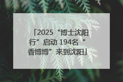 2025“博士沈阳行”启动 194名“香博博”来到沈阳