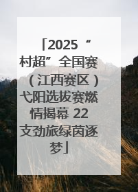 2025“村超”全国赛(江西赛区)弋阳选拔赛燃情揭幕 22支劲旅绿茵逐梦
