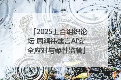 2025上合组织论坛 周鸿祎建言AI安全应对与柔性监管