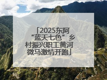 2025东阿“蓝天七色”乡村振兴职工黄河微马激情开跑
