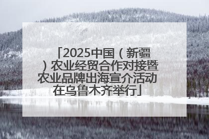 2025中国（新疆）农业经贸合作对接暨农业品牌出海宣介活动在乌鲁木齐举行