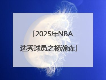 2025年NBA选秀球员之杨瀚森
