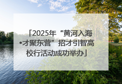 2025年“黄河入海•才聚东营”招才引智高校行活动成功举办