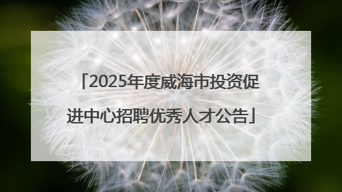 2025年度威海市投资促进中心招聘优秀人才公告