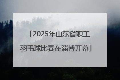 2025年山东省职工羽毛球比赛在淄博开幕
