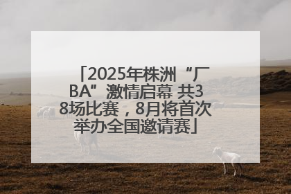 2025年株洲“厂BA”激情启幕 共38场比赛，8月将首次举办全国邀请赛