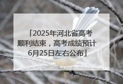 2025年河北省高考顺利结束，高考成绩预计6月25日左右公布