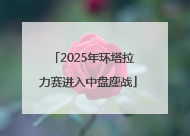 2025年环塔拉力赛进入中盘鏖战