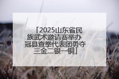 2025山东省民族武术邀请赛举办 冠县查拳代表团勇夺三金二银一铜