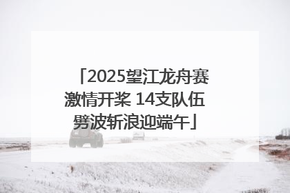 2025望江龙舟赛激情开桨 14支队伍劈波斩浪迎端午