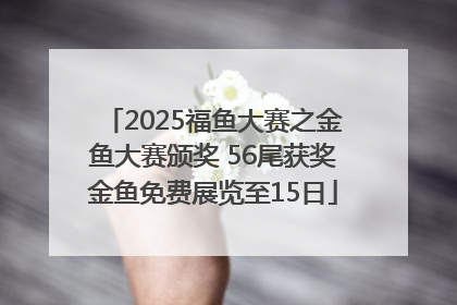 2025福鱼大赛之金鱼大赛颁奖 56尾获奖金鱼免费展览至15日
