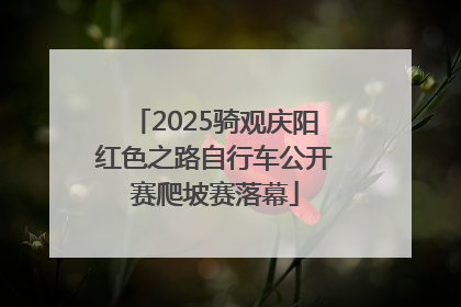 2025骑观庆阳红色之路自行车公开赛爬坡赛落幕
