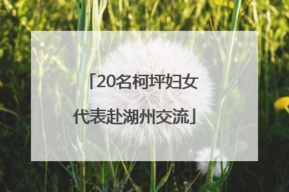 20名柯坪妇女代表赴湖州交流