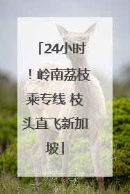 24小时！岭南荔枝乘专线 枝头直飞新加坡