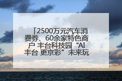 2500万元汽车消费券、60余家特色商户 丰台科技园“AI丰台 更京彩”未来玩家市集活动正式开幕