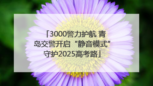 3000警力护航 青岛交警开启“静音模式”守护2025高考路
