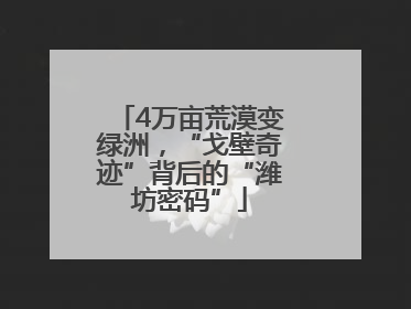 4万亩荒漠变绿洲，“戈壁奇迹”背后的“潍坊密码”