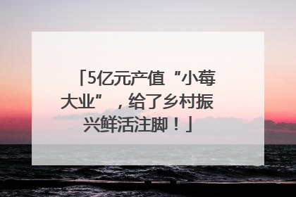 5亿元产值“小莓大业”，给了乡村振兴鲜活注脚！
