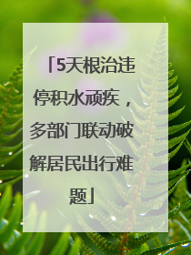 5天根治违停积水顽疾，多部门联动破解居民出行难题