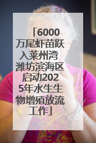 6000万尾虾苗跃入莱州湾 潍坊滨海区启动2025年水生生物增殖放流工作