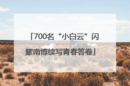 700名“小白云”闪耀南博续写青春答卷