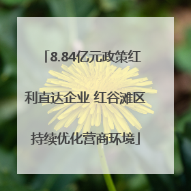 8.84亿元政策红利直达企业 红谷滩区持续优化营商环境