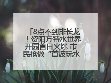 8点不到排长龙！资阳方特水世界开园首日火爆 市民抢做“首波玩水达人”