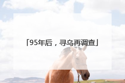 95年后，寻乌再调查