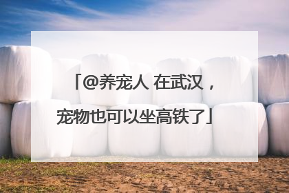 @养宠人 在武汉，宠物也可以坐高铁了