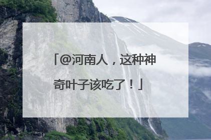 @河南人，这种神奇叶子该吃了！