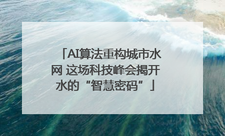 AI算法重构城市水网 这场科技峰会揭开水的“智慧密码”