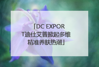 DC EXPORT迪仕艾普掀起多维精准养肤热潮